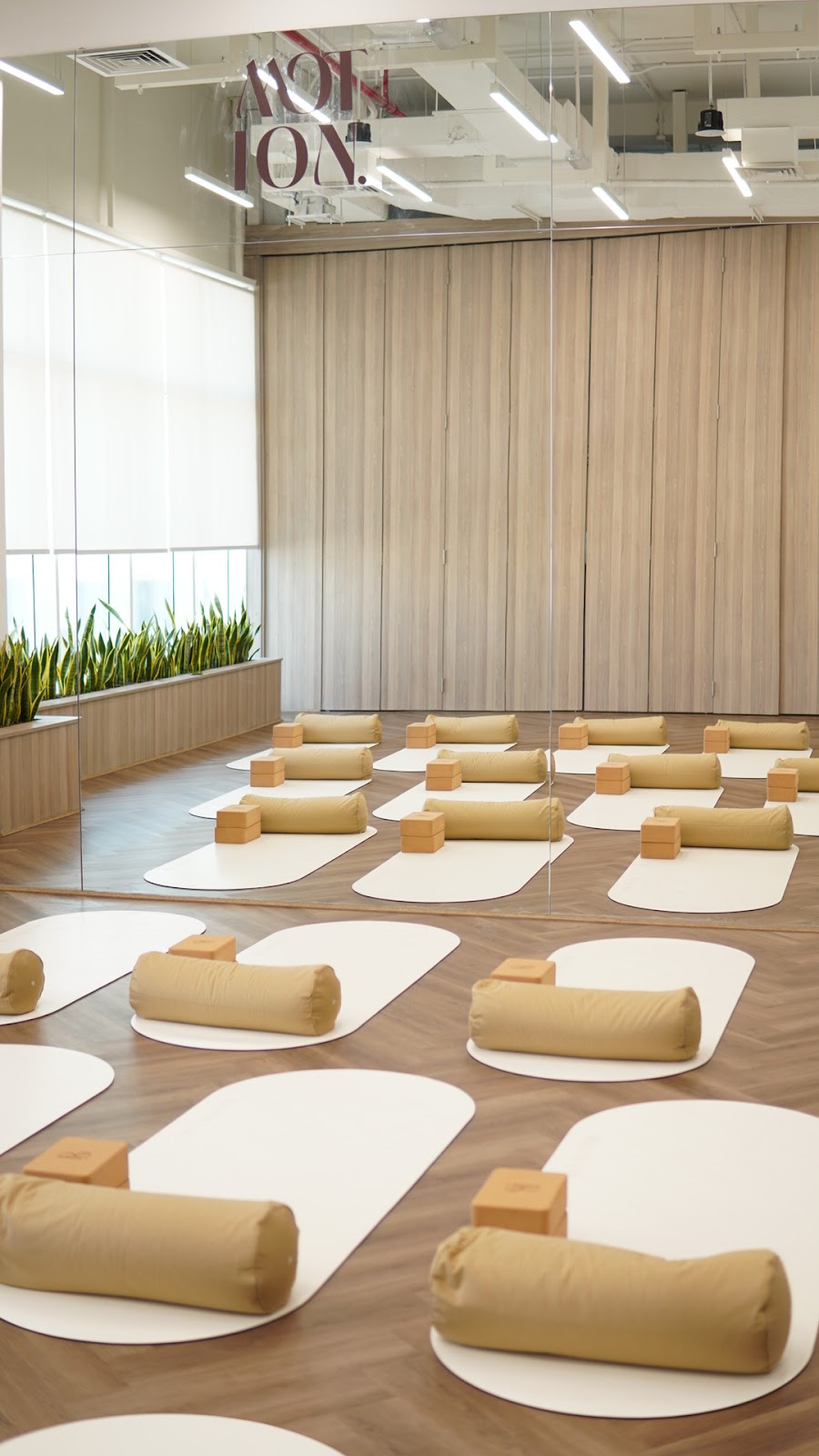 Motion Studio by Recovery Lab