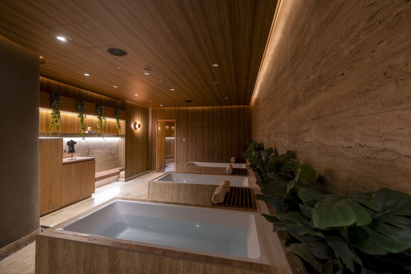 Re Social Wellness Club