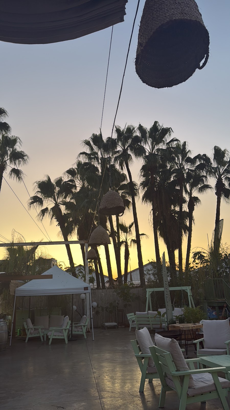 HORMESIS - הורמזיס