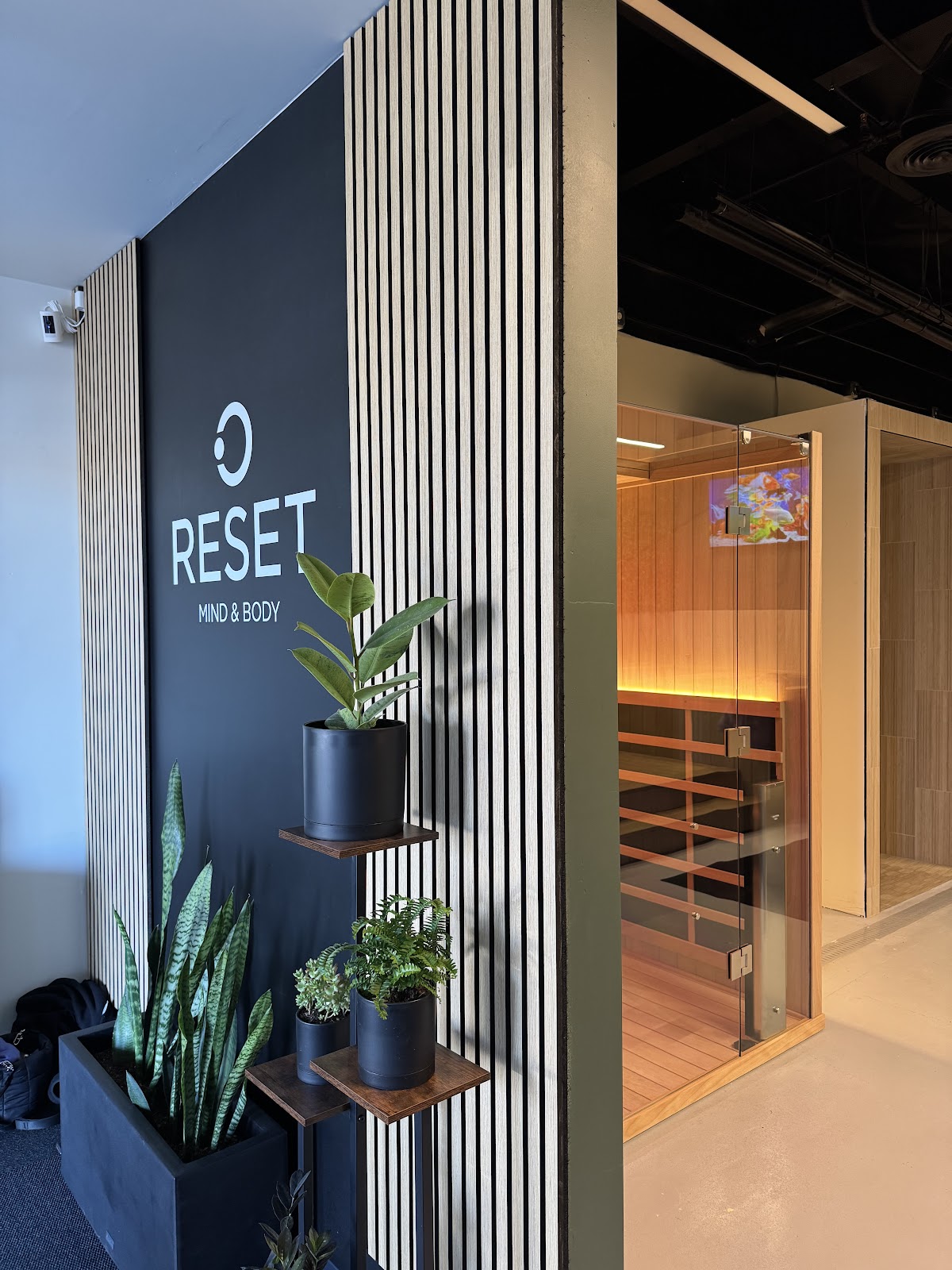 Reset Mind & Body - Paradise Valley