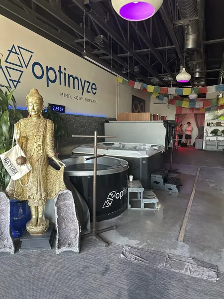 Optimyze Arcadia