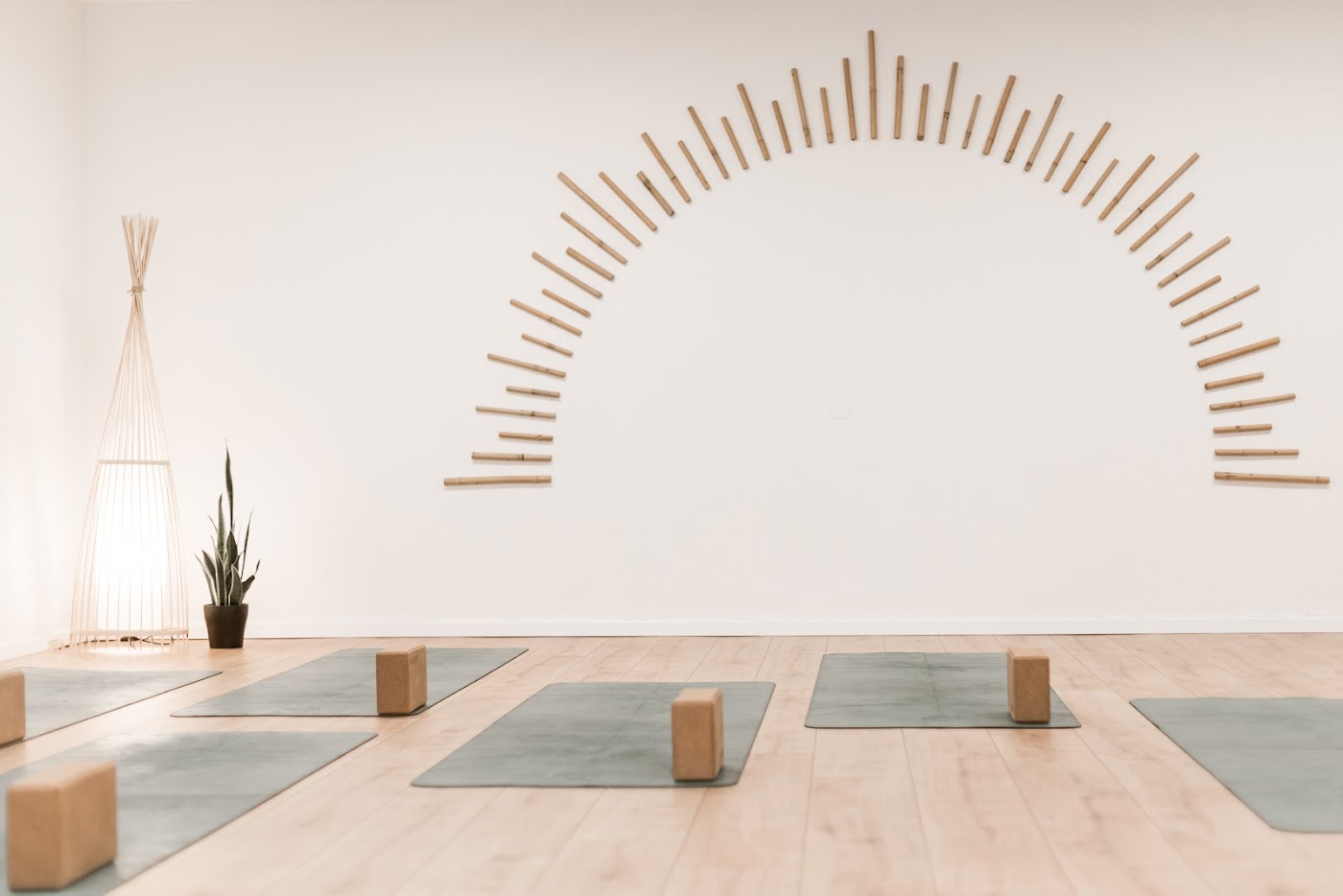 MyWellness TLV - Yoga & Pilates Studio by Mica