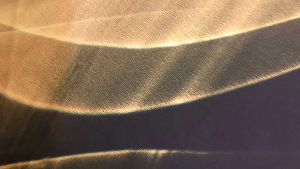 Healthy Horizon Lisbon