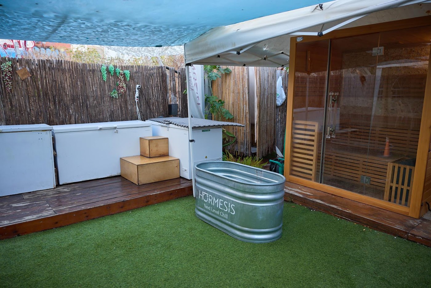 אייס הילינג סנטר - Ice Healing At Hormesis