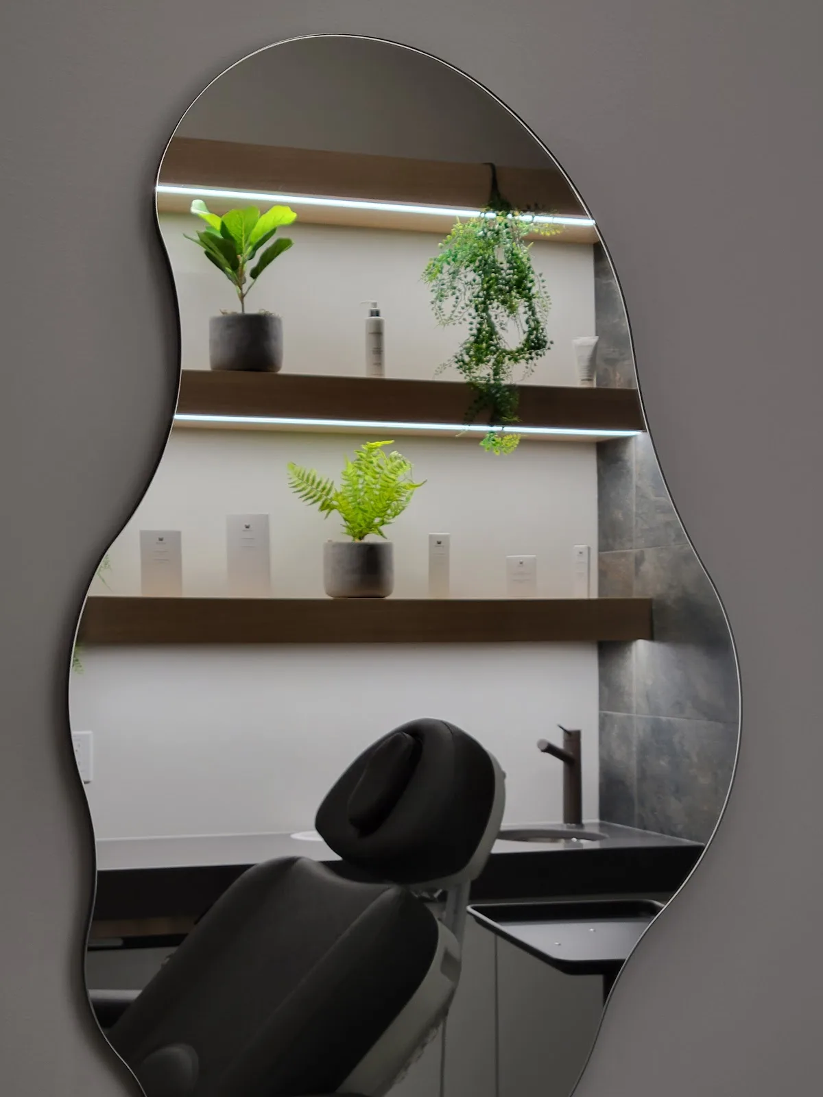 Skinecht Studio