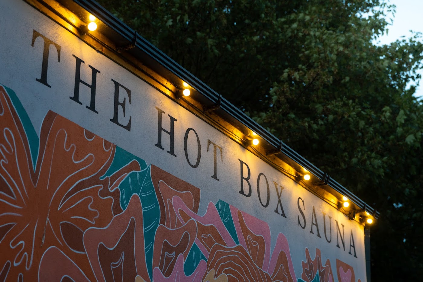 The Hot Box Sauna Inchicore